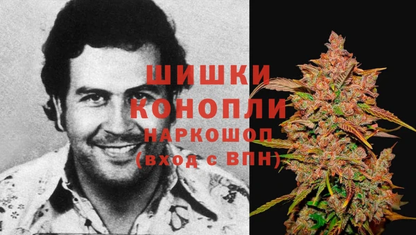 индика Богданович