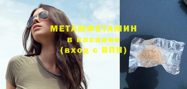 индика Богданович