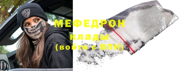 индика Богданович