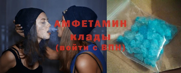 индика Богданович