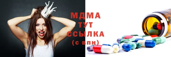 индика Богданович