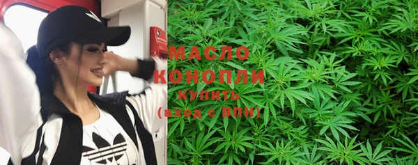 индика Богданович