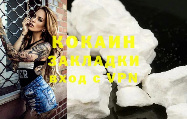 шишки Богородск