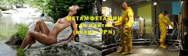 индика Богданович