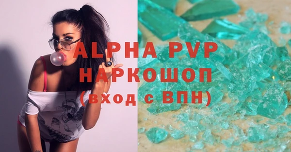 индика Богданович