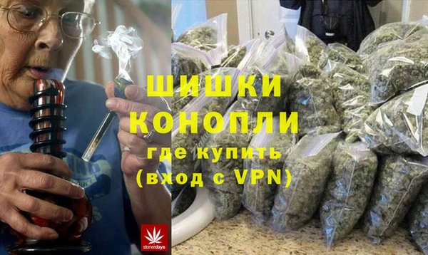 индика Богданович