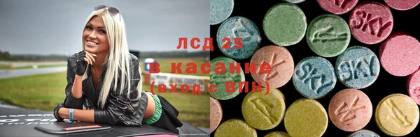 индика Богданович
