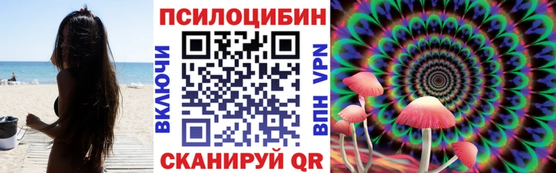 Псилоцибиновые грибы мухоморы  где продают   shop как зайти  Вяземский 